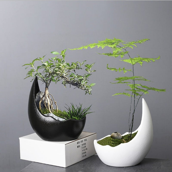 Ceramic Succulent Pot